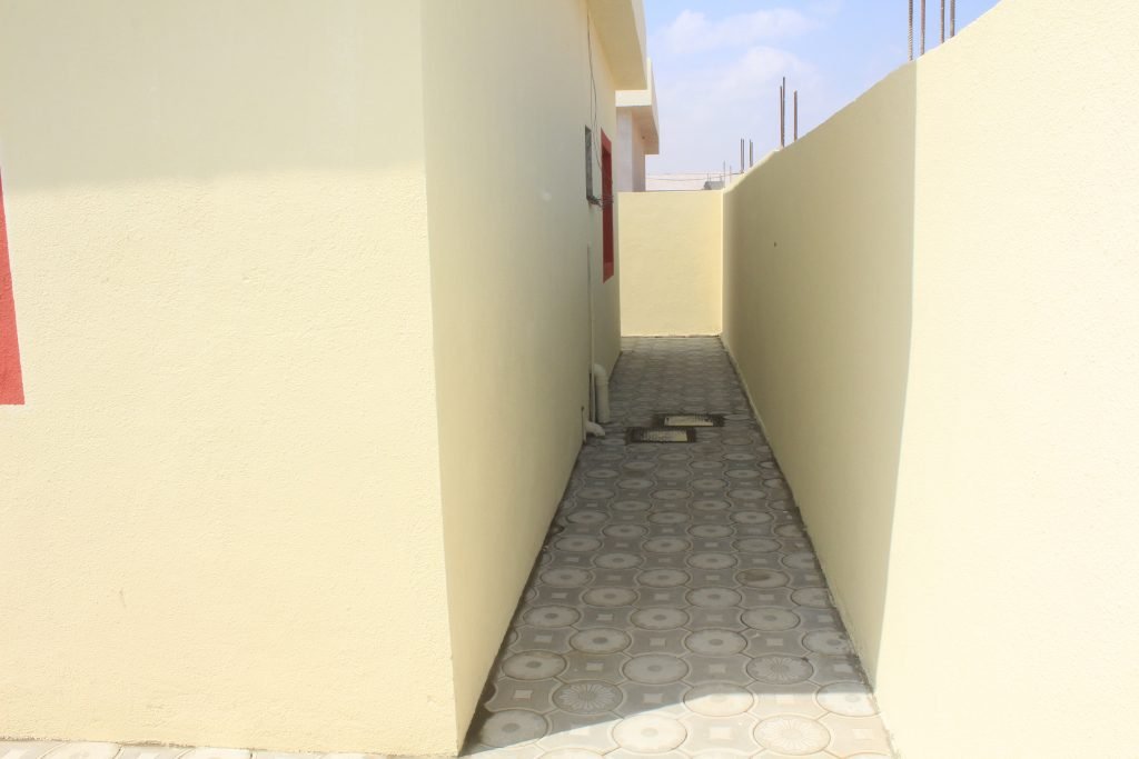Image-7